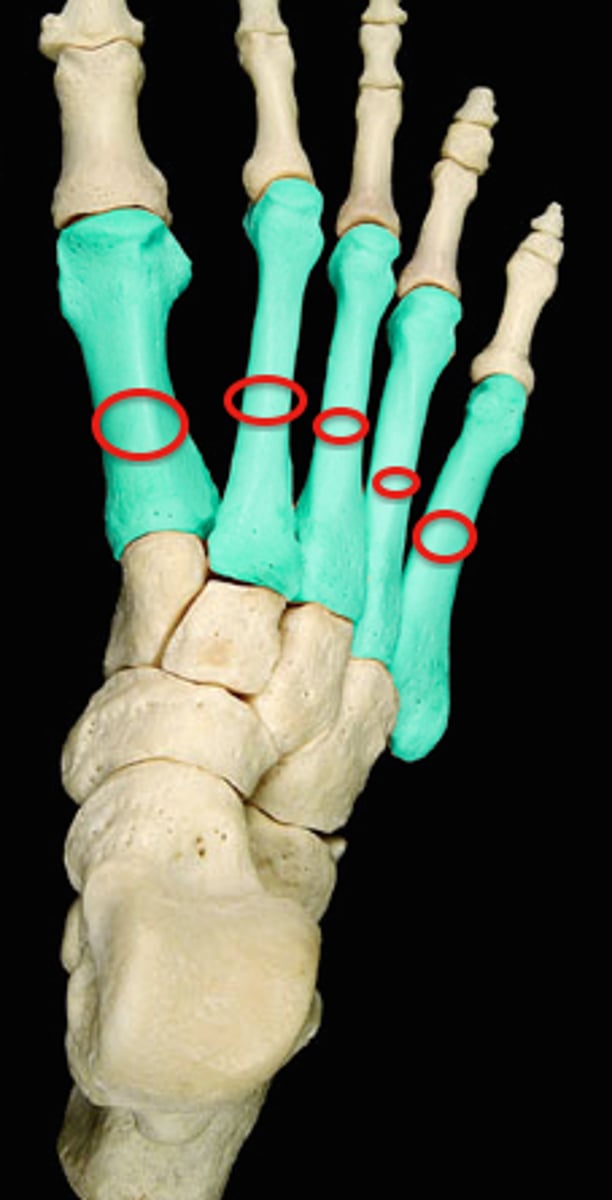 <p>middle part</p>