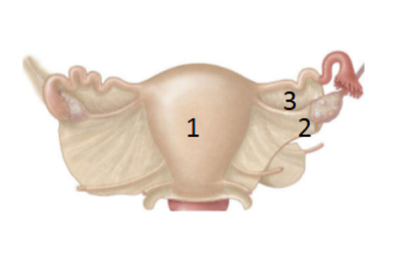 <p>What is 3?</p>