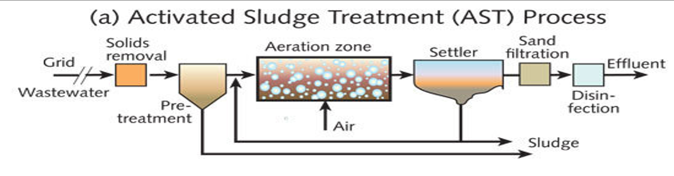 <p>Explain AST in this diagram</p>