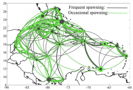 <p>release frequency affects population networks</p>