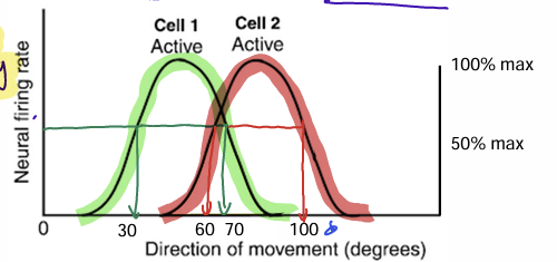 <p>what is the best conclusion that can be made from this graph?</p>