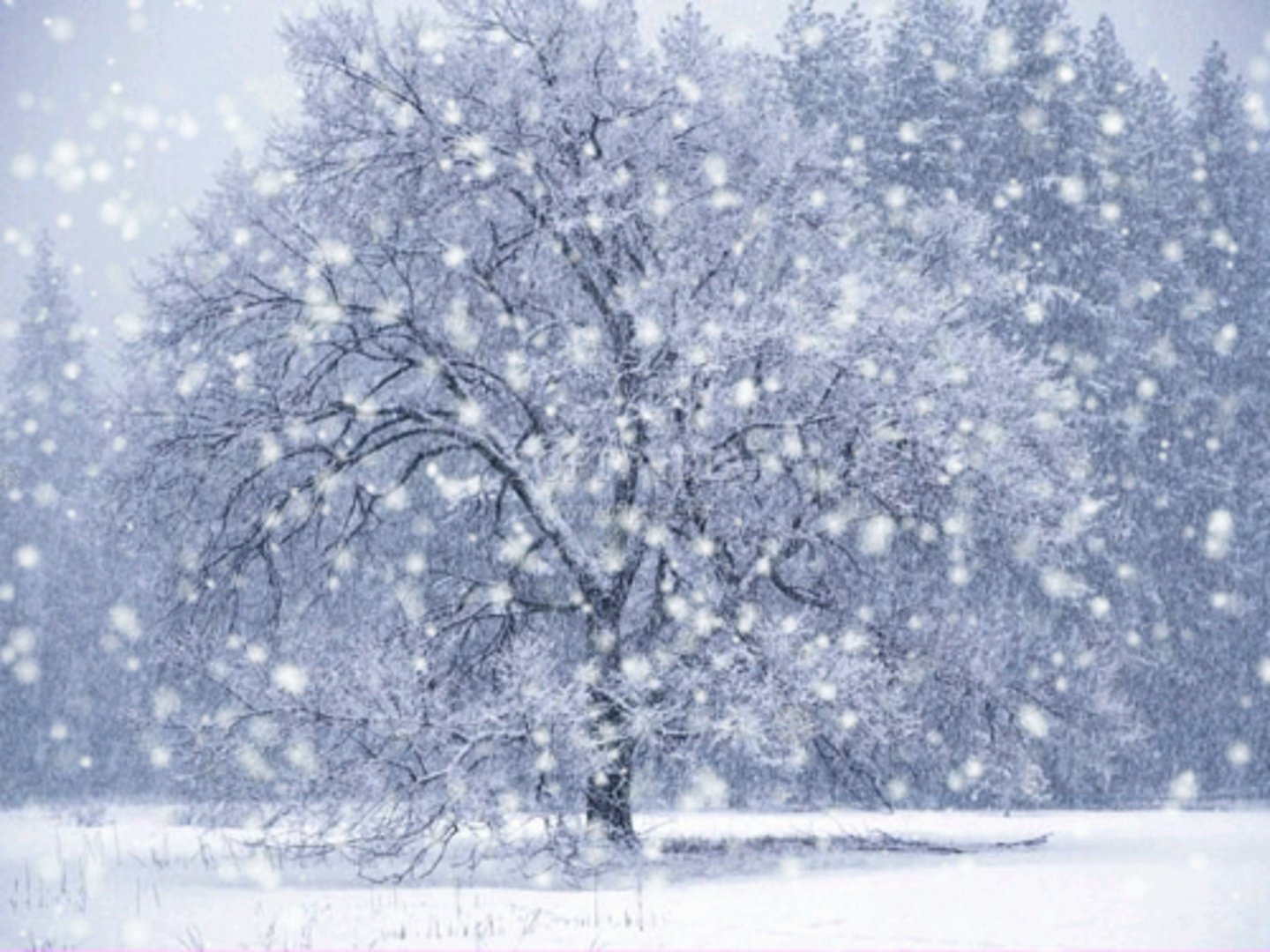 <p>it's snowing/it snows</p>