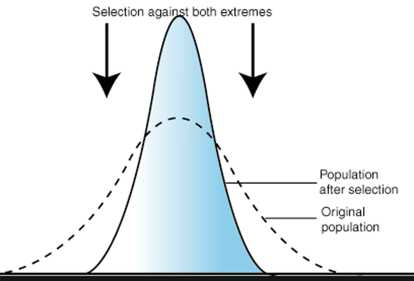 <p>Individuals near the center of the curve have higher fitness than individuals at either end</p>