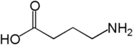 <p>GABA (γ-aminobutyric acid) is the main inhibitory neurotransmitter in the central nervous system. It reduces neuronal excitability throughout the nervous system.</p><p></p>