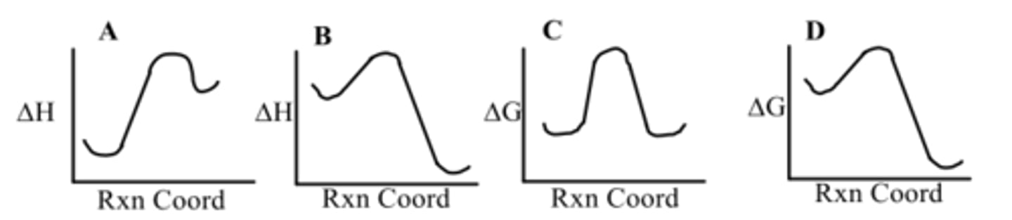 <p>Which diagram shows an endothermic reaction?</p>