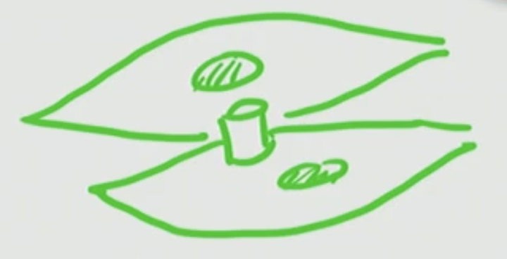 <p>What can pass through gap junctions?</p>