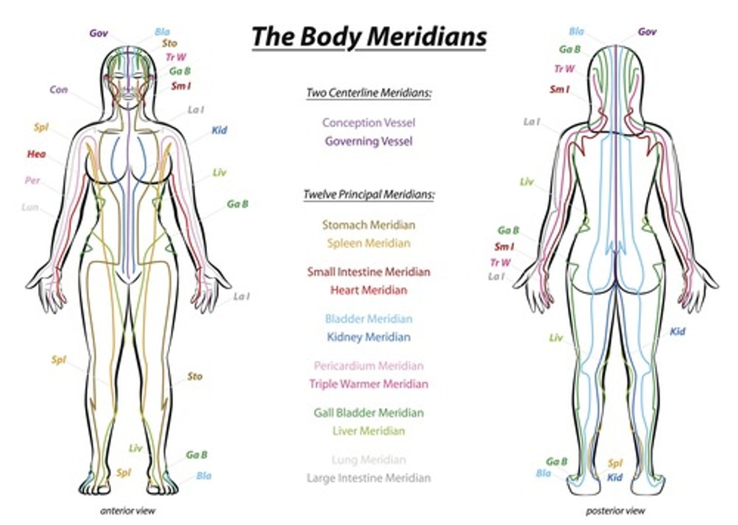 <p>This is an energy pathway in the body known to be studied and manipulated by traditional/folk Chinese doctors.</p>