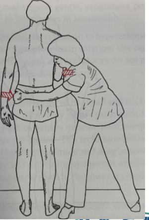 <p>Describe how to perform a therapist correction of lateral shift</p>