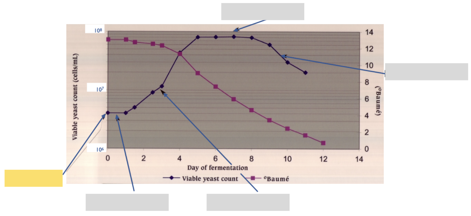 <p>What is the highlighted phase called?</p><p></p>