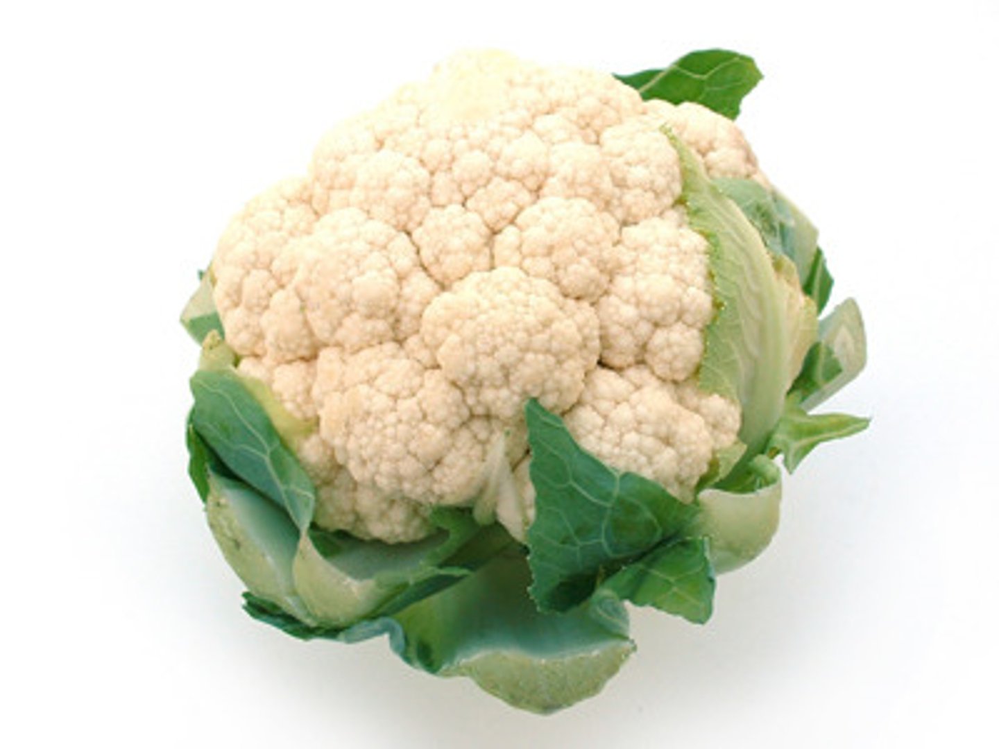 <p>cauliflower</p>