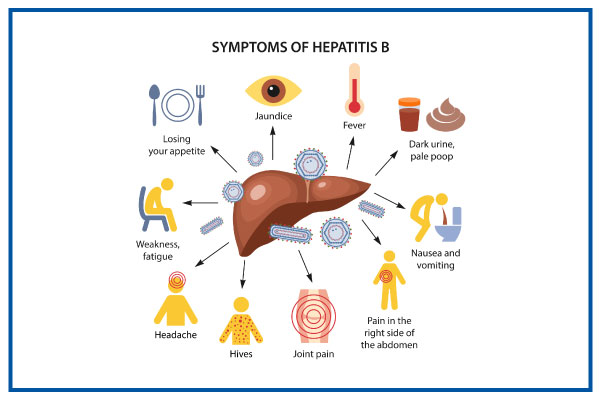 <ul><li><p class="">AKA <strong>serum hepatitis</strong> or "<span style="color: red"><strong>long incubation</strong>"</span> hepatitis</p></li><li><p class="">Can be <span style="color: red"><strong>acute or chronic</strong></span></p></li><li><p class=""><span style="color: #0ff82c"><strong>Most ubiquitous</strong> hepatitis virus</span></p><ul><li><p class="">~<strong>2 billion infected</strong> globally</p></li><li><p class=""><strong>1.5 million</strong> new cases annually</p></li></ul></li><li><p class=""><strong>U.S. stats</strong>:</p><ul><li><p class="">~<strong>12 million</strong> infected</p></li><li><p class=""><span style="color: #0efe3e"><strong>Peak incidence</strong>: <strong>ages 25–45</strong></span></p></li></ul></li><li><p class="">Common symptoms:</p><ul><li><p class=""><span style="color: red"><strong>Jaundice</strong>, <strong>fever</strong>, </span><span style="color: #e2f20a"><strong>dark urine</strong></span><span style="color: red">, <strong>pale stool</strong></span></p></li><li><p class=""><span style="color: red"><strong>Fatigue</strong>, <strong>nausea</strong>, <strong>abdominal pain (right abdominal)</strong></span></p></li><li><p class=""><span style="color: red"><strong>Anorexia</strong>, <strong>joint pain</strong>, <strong>headache</strong>, <strong>hives</strong></span></p></li></ul></li></ul><p></p>