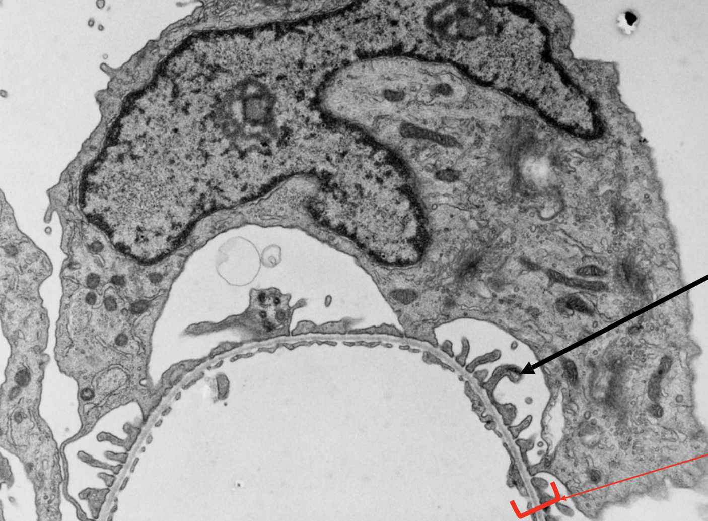 <p>ID the image</p>