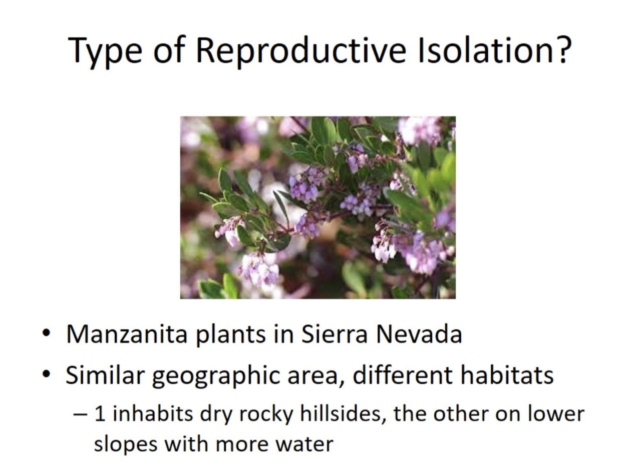 <p>Similar geographic area, different habitats. What type of reproductive isolation is this?</p>
