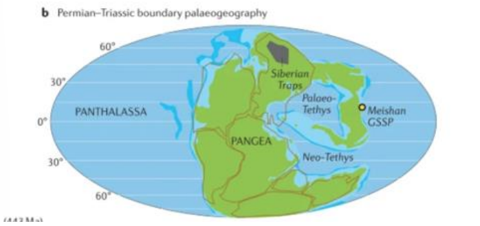 <ul><li><p><span style="background-color: transparent;"><span>Pangea</span></span></p></li><li><p><span style="background-color: transparent;"><span> Panthalassa</span></span></p></li><li><p><span style="background-color: transparent;"><span>Neo-Tethys/Palaeotethys</span></span></p></li><li><p><span style="background-color: transparent;"><span>Siberian Traps Igneous Province (STIP)</span></span></p></li></ul><p></p>