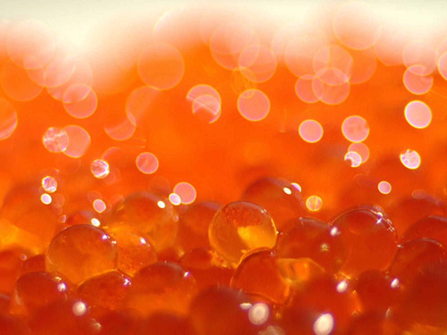<p>fluid containing sperm</p>