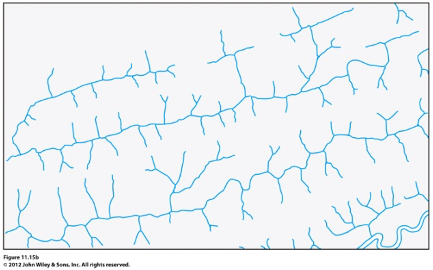 welk drainage patroon zie je hier?