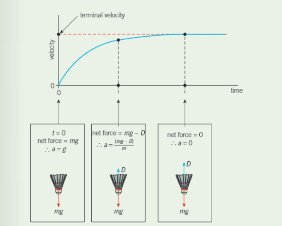 <p>Terminal velocity</p>