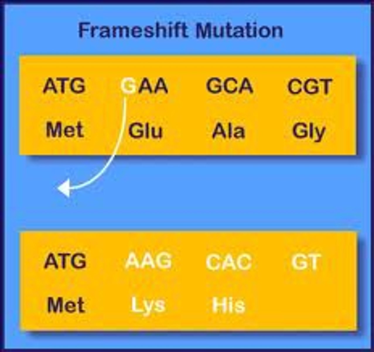 <p>mutation that shifts the "reading" frame of the genetic message by inserting or deleting a nucleotide</p>