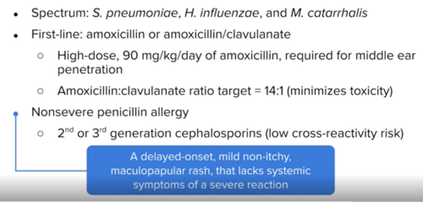 <p>Amoxicillin 90 mg/kg/day in 2 divided doses or</p><p>Amoxicillin/clavulanate 90 mg/kg/day of amoxicillin with 6.4 mg/kg/day of clavulanate in 2 divided doses </p>