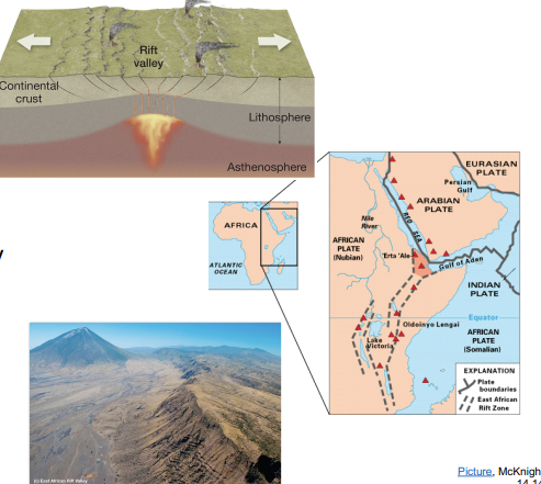 <p><strong>divergent continental </strong></p>
