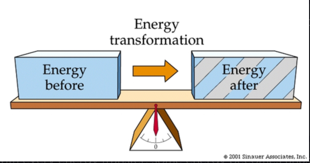 <p>Energy can be transferred and transformed, but it cannot be created or destroyed.</p>