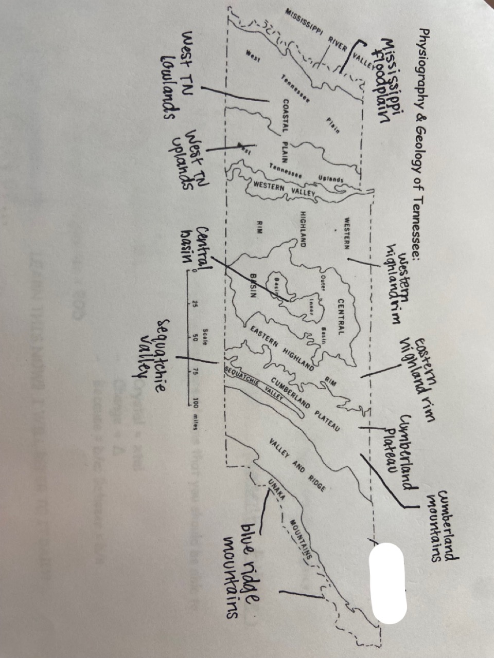 which one is marked out?