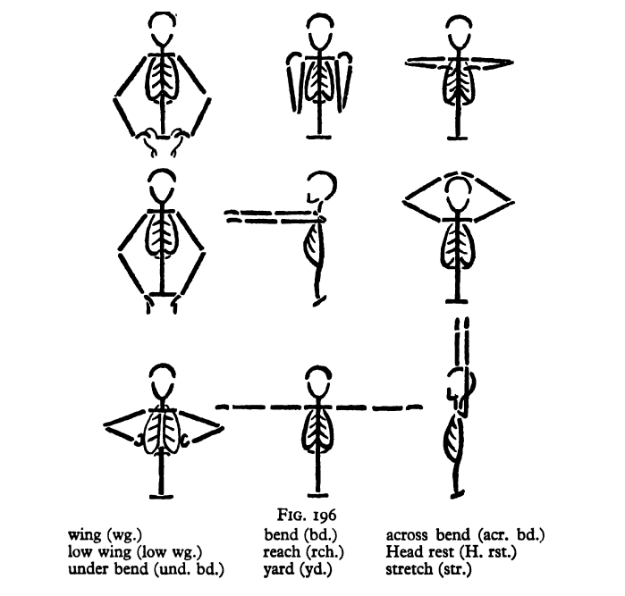 <p>• wing standing • low wing standing • bend standing • reach standing • yard standing • stretch standing</p>