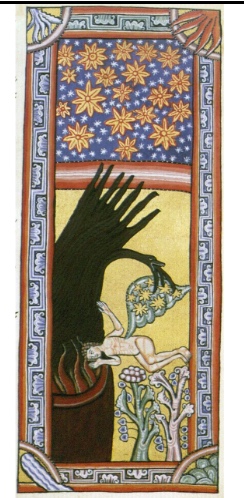 term image
