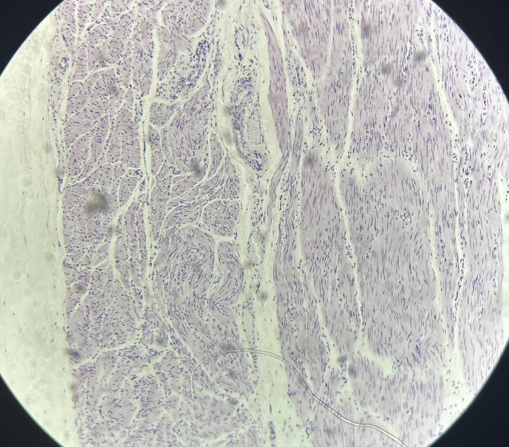 <p>What is this?</p>