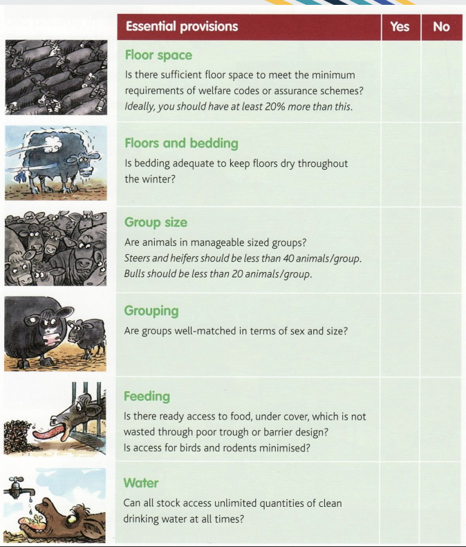 <p>checklists and are used to check for good/bad housing design in commercial assurance schemes</p>