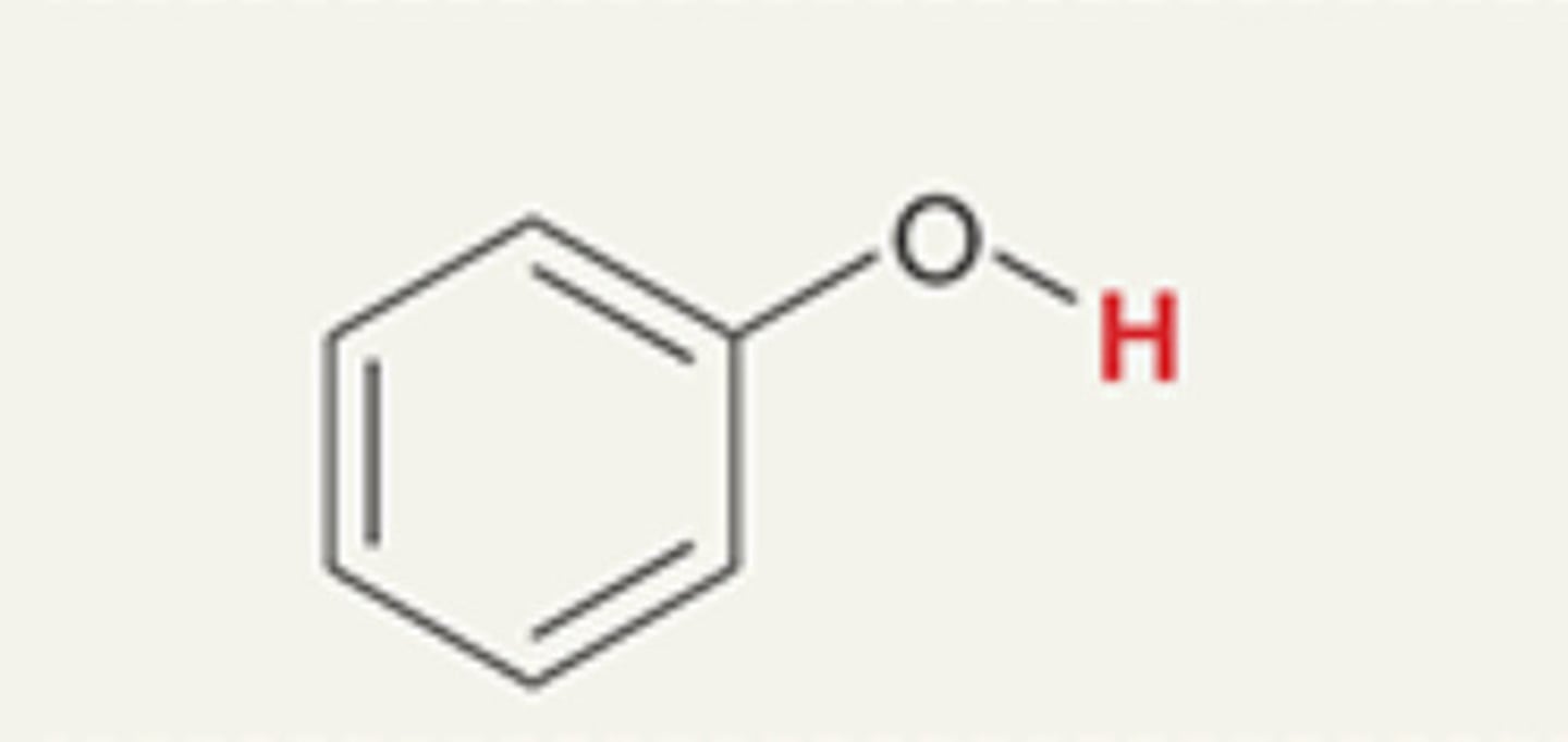 <p>Phenol</p>