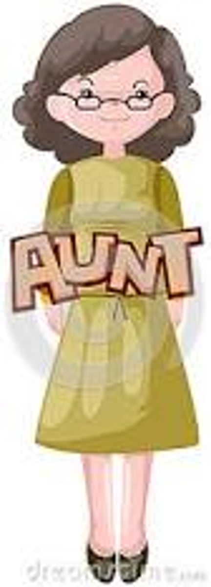 <p>aunt (ā yí )</p>
