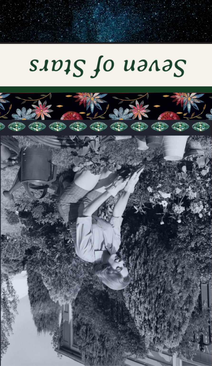 <p>Seven of Stars Reversed</p>