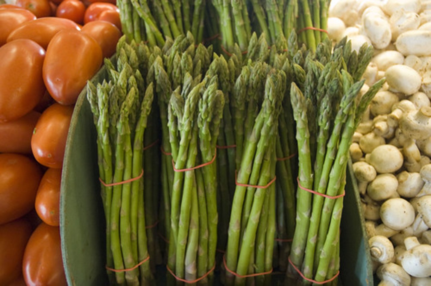 <p>/əˈspærəɡəs/ măng tây</p><p>Ex Asparagus is a nutritious vegetable that can be boiled, grilled, or roasted for a tasty meal.</p><p>The green asparagus stems are commonly used in salads, while the white ones are preferred in soups.</p><p>When buying asparagus, look for firm and fresh stems to ensure the best flavor and texture.</p><p>Asparagus is a versatile vegetable that can be enjoyed as a side dish or incorporated into various recipes.</p>