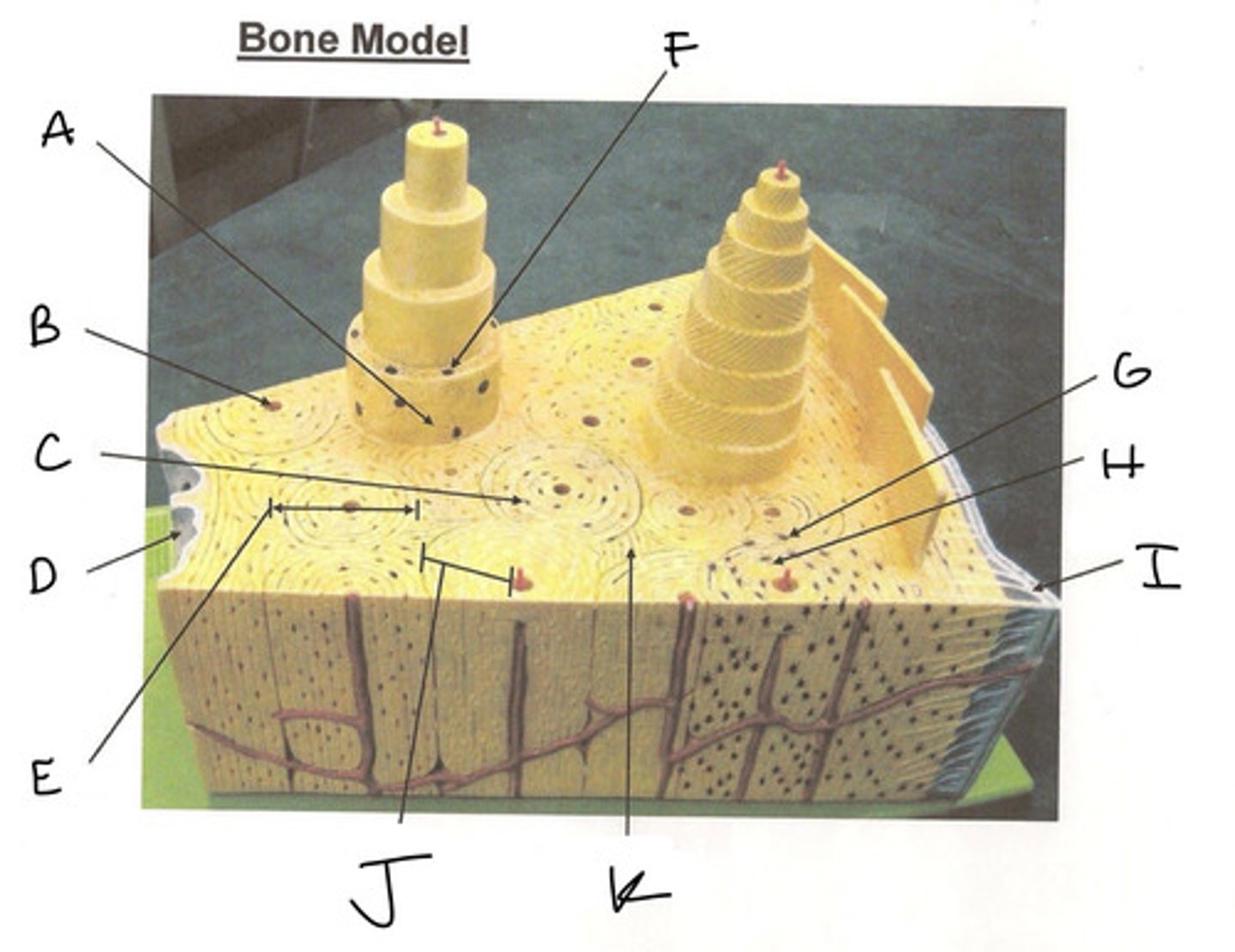 <p>What is D pointing to?</p>