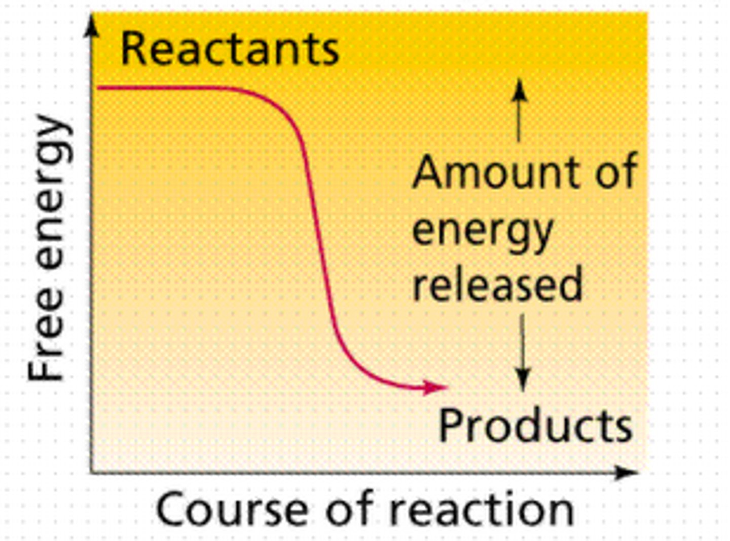 <p>A spontaneous chemical reaction in which there is a net release of free energy.</p>