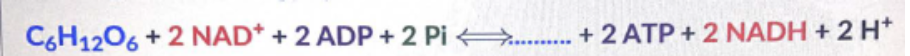 <p>CH3( C=0)COOH 2 molecules of CH3(C=0)CO0H 2 molecules of CH3(CH2)COOH CH3(CH0H) COOH CH30H(CH2)COOH</p>