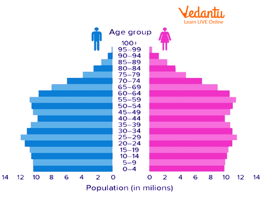 <p>a graph showing the age-sex distribution of a given population</p>