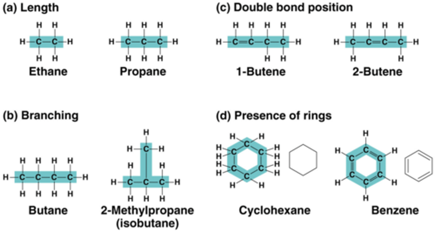 <p>variation within the molecules of a cell</p>