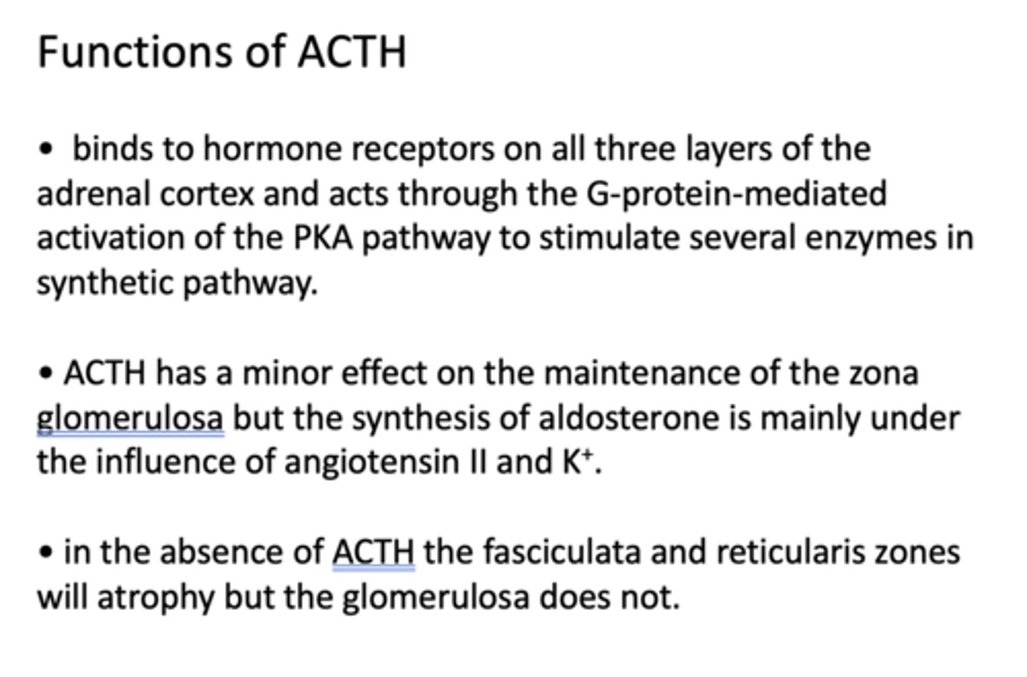 <p>Zona glomerulosa</p>