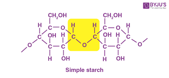<p>A storage polysaccharide in plants, consisting of entirely glucose monomers joined by glycosidic linkages. </p>