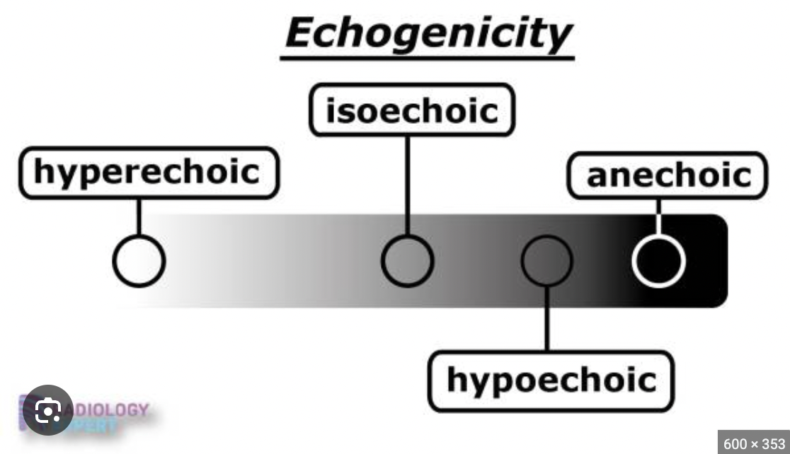 <p>hypoechoic: Echo signals are not as bright compared to other surrounding tissue or structures.</p><p>• Hyperechoic: Echo signals are brighter compared to other surrounding tissue /structures</p>