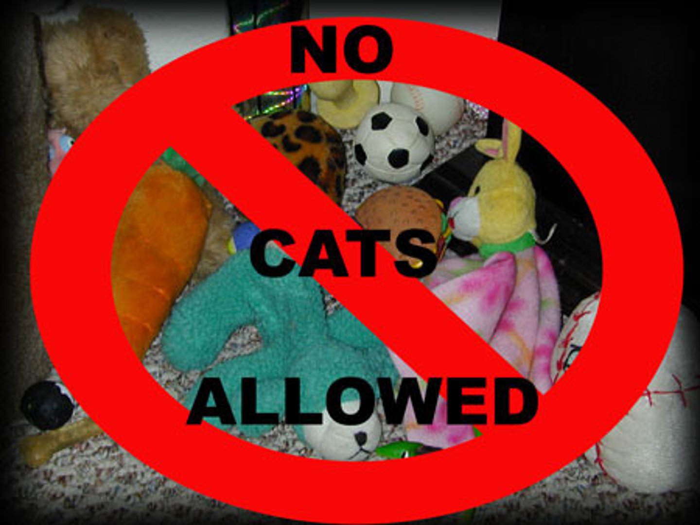 <p>o deliberately not include something in what you are doing or considering</p>