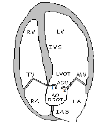 <p>What is 1?</p>