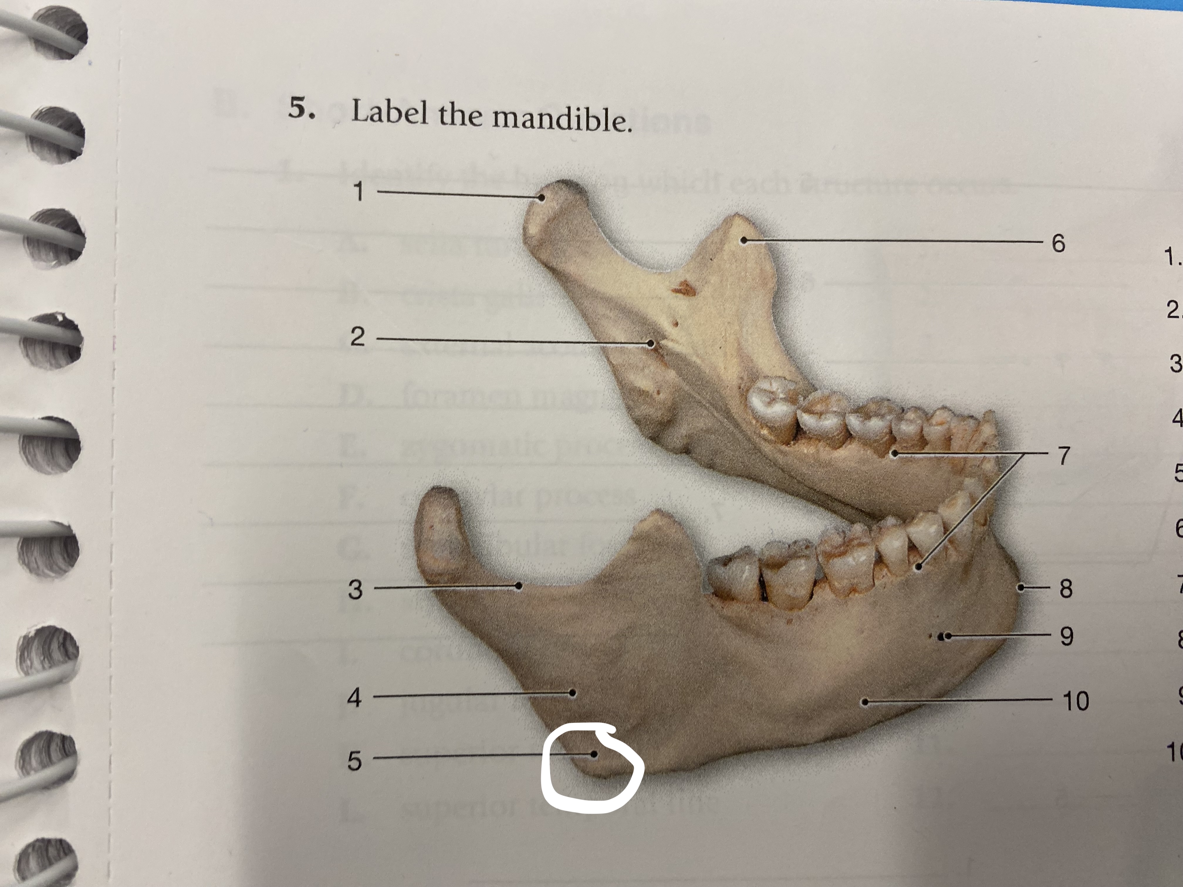 <p>what structure is this?</p>