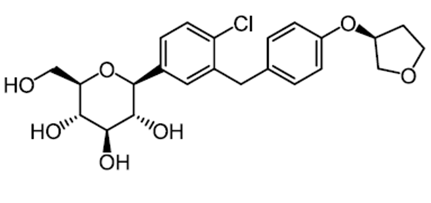 <p>SGLT2i</p>