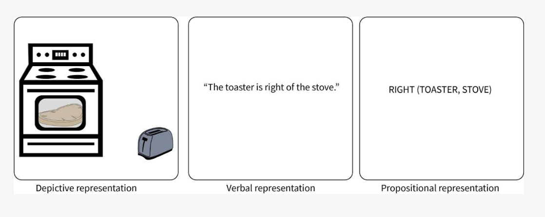 <ul><li><p>Pylyshyn argued cognitive processing relies on <strong>propositions</strong>, not pictures.</p></li><li><p>Propositions are statements that express relationships and can be judged as true or false.</p></li><li><p>Example: “The lamp is to the left of the books” is a proposition.</p></li><li><p>According to him, propositional codes are sufficient to explain imagery, so picture-like representations are unnecessary.</p></li></ul><p></p>