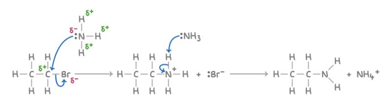 <p><strong>Reagent : </strong>NH<sub>3</sub></p><p><strong>Conditions : </strong>Excess concentrated ammonia dissolved in ethanol at pressure in a sealed container</p><p><strong>What happens : </strong>first molecule of NH<sub>3</sub>: halogen atom replaced by NH<sub>3 </sub>group; second molecule of NH<sub>3</sub>: removes H<sup>+</sup> from added NH<sub>3</sub></p><p><strong>Overall equation : </strong><span>CH</span><sub>3</sub><span>CH</span><sub>2</sub><span>Br + 2NH</span><sub>3</sub><span>&nbsp;➔ CH</span><sub>3</sub><span>CH</span><sub>2</sub><span>NH</span><sub>2</sub><span> + NH</span><sub>4</sub><span>Br</span></p><p><strong>Mechanism : </strong>Nucleophilic substitution</p>