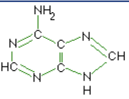 <p>What macromolecule is this?</p>