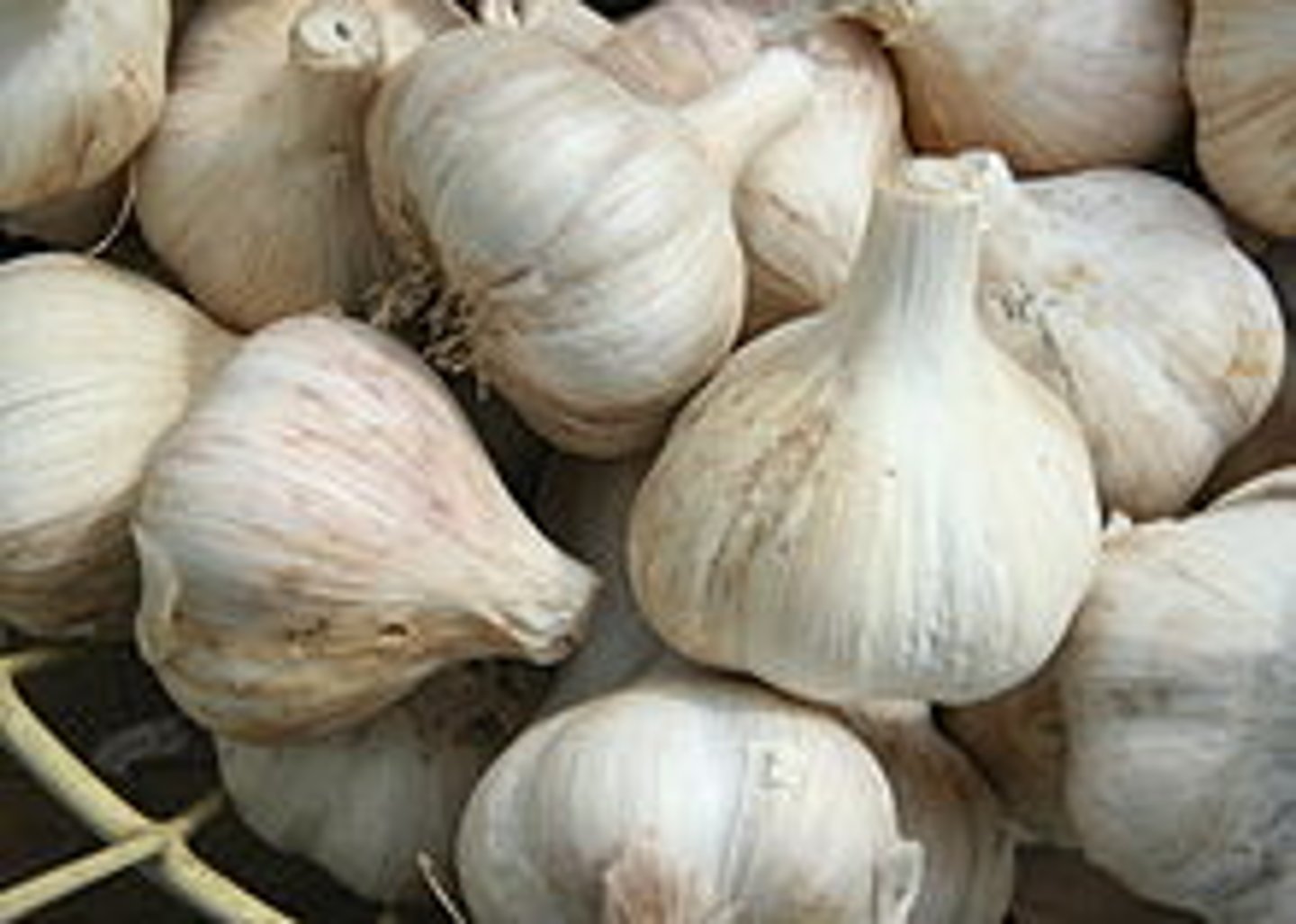 <p>garlic</p>